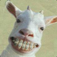 robertinho's Stream profile image