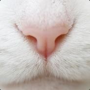 pacho's - Steam avatar