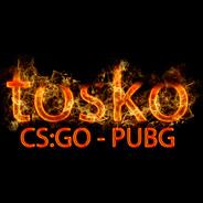 tosko's Stream profile image