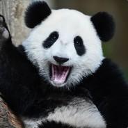 CHUBBS's Stream profile image