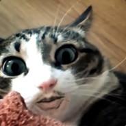 Jovem Padawan's Stream profile image