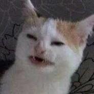 MrAip's Stream profile image