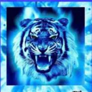 💎 Ice Tiger 💎's - Steam avatar