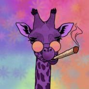 Dank Giraffe's Stream profile image