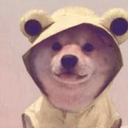 你的技能留着准备生孩子吗？'s Stream profile image