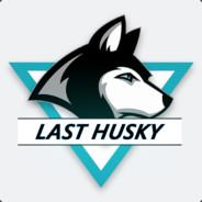 Last_Husky's Stream profile image