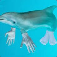 a depressed dolphin's Stream profile image