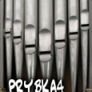 prybka4's - Steam avatar