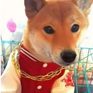 老66's Stream profile image