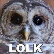 LOLK's - Steam avatar