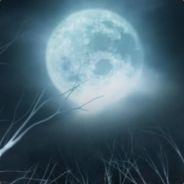 Meh's - Steam avatar