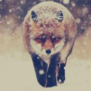 Leopardus guigna's - Steam avatar
