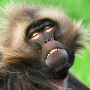 Content Baboon's Stream profile image