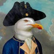 Seagull From Mars's Stream profile image