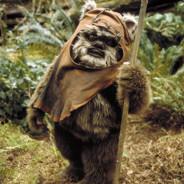 Wicket's Stream profile image