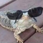 El Lagarto (aka Tense)'s Stream profile image