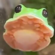 A Frosch's Stream profile image