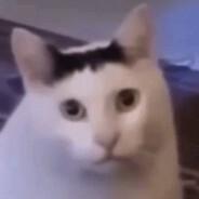 KTBZZZ's Stream profile image