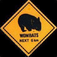 wombat.slayer's Stream profile image