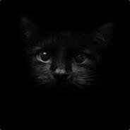 Kuique's - Steam avatar