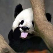 一路向東's Stream profile image