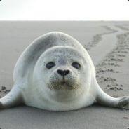 420SealIT's Stream profile image