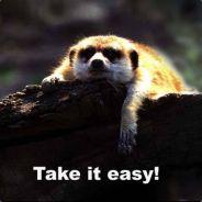 Steve's Stream profile image