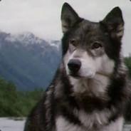 ｖａｌｇｅｋｉｈｖ's Stream profile image