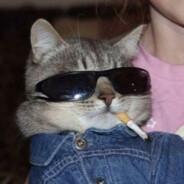 keepbeesaway's Stream profile image