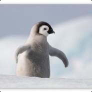 Penguin's Stream profile image