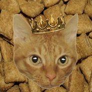 BTheNoob's Stream profile image