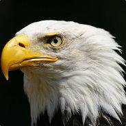 Eagle Eye's - Steam avatar