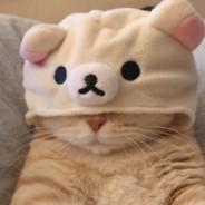 Akatz's Stream profile image