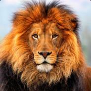 Lion's - Steam avatar