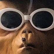 MICROCEFALIA's Stream profile image