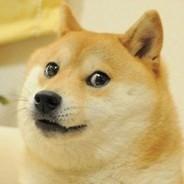 Painaa123's Stream profile image