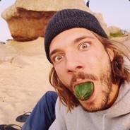 cucumbah's Stream profile image