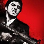 Binobx's - Steam avatar