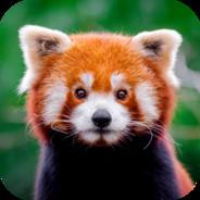 [JGPTK] RedPanda's Stream profile image