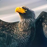 elvismolotov's - Steam avatar