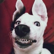 Argi's Stream profile image