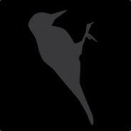 Woodpecker's Stream profile image