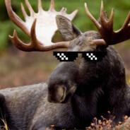 Bad Moose's - Steam avatar