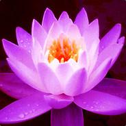 Lotus_Eater's - Steam avatar