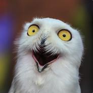 Tobinator's Stream profile image