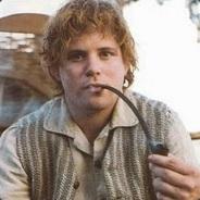 Samwise's Stream profile image