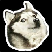 Husky Doge's Stream profile image