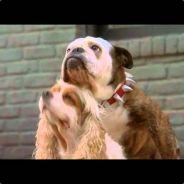 MrBeefee's - Steam avatar