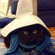 Carple's Stream profile image