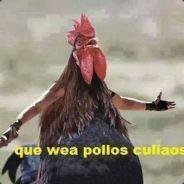 Abuela Tactica's - Steam avatar